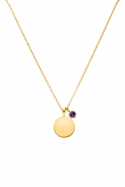 Birthstone February Necklace 14K Gold Plated