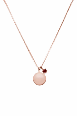 Birthstone January Necklace 14K Rose Gold Plated