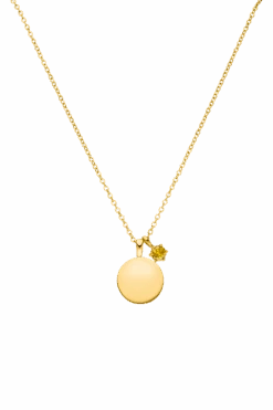Birthstone November Necklace 14K Gold Plated
