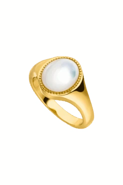 Amalfi Signet Ring 14K Gold Plated